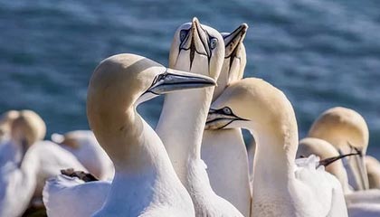 以下是几个可供选择的日报标题，请挑选或微调：1. 三角洲行动——外挂与工具动态日报  2. 三角洲行动外挂监测日报：自瞄透视物资工具概况  3. 三角洲行动安全通报：免费开挂工具风险解析日报  4. 三角洲行动违规工具清单日报（自瞄、透视、物资）  5. 三角洲行动日报：外挂传播与防控进展