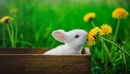 2026最新版和平精英辅助器：透视＋自瞄锁头永久免费版